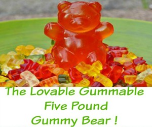 The Lovable Gummable Five Pound Gummy Bear Gift